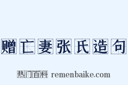 赠亡妻张氏造句是什么意思的图片
